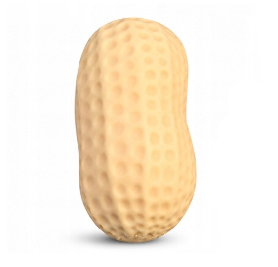 Gniotek Orzeszek